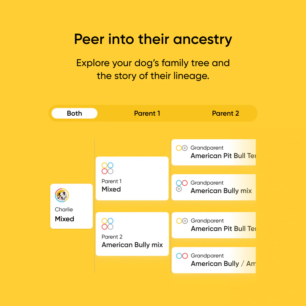 Embark Dog DNA Test